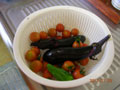 夏野菜の収穫